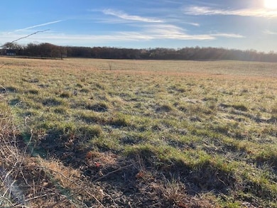 2363 State Highway Oo, Marshfield, MO 65706 - photo 5