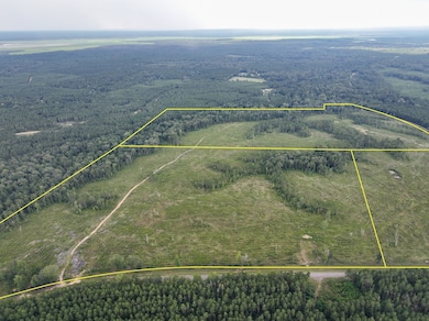 T-2 Louisiana 127, Jena, LA 71371 - photo 2