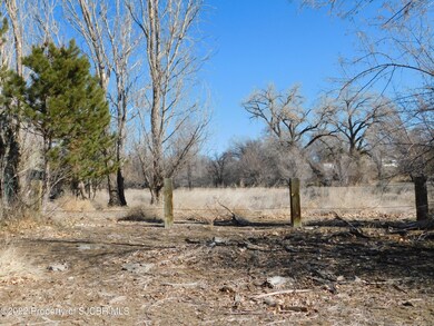 NYA Rowe Ave, Farmington, NM 87402 - photo 3