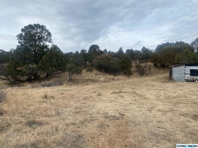 5105 Big Bend Roads, Silver City, NM 88061 - photo 2