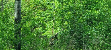 Lot 1-107 Steeple View Dr, Bethlehem, NH 03574 - photo 4