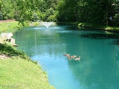 Pond in the back of the development