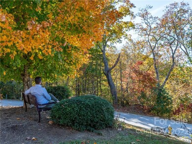 1736 Wood Owl Ct unit 36R, Hendersonville, NC 28791 - photo 6