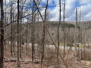 0 Route 23a unit 20253899, Lexington, NY 12452 - photo 5