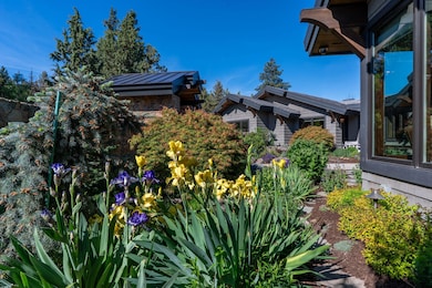 Courtyard flowers