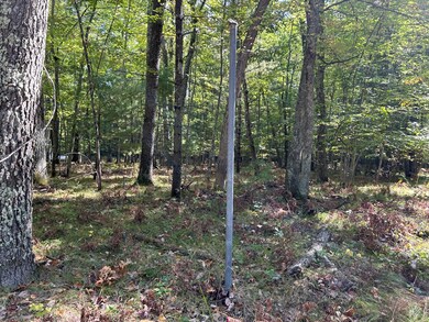 V/L Trail of the Lakes, Lake Township, MI 49304 - photo 4