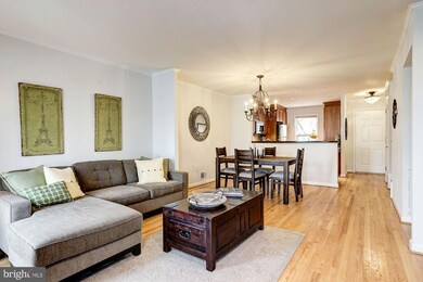 1003B N Daniel St, Arlington, VA 22201 - photo 7