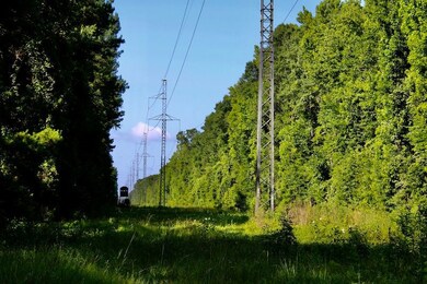 La 1071 unit LotWP001, Angie, LA 70426 - photo 4