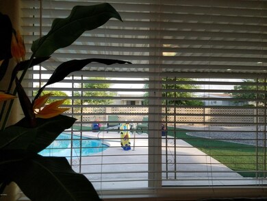 View from Living Rm
