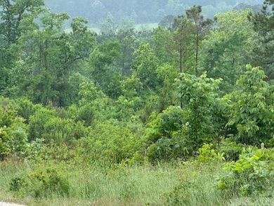 300 Block Angel St, Amity, AR 71921 - photo 3