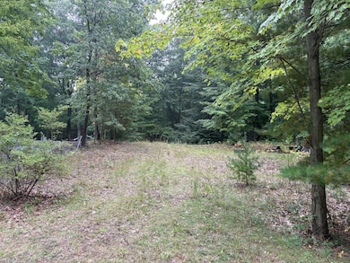 62 N 14th Ave, Mears, MI 49436 - photo 3