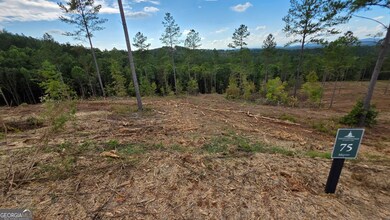 75 Elkton Ct, Ellijay, GA 30540 - photo 4