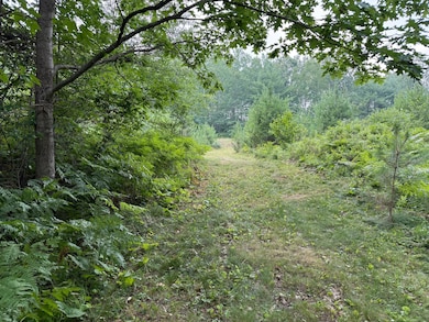 ON Malby Lake Rd, Minocqua, WI 54548 - photo 6