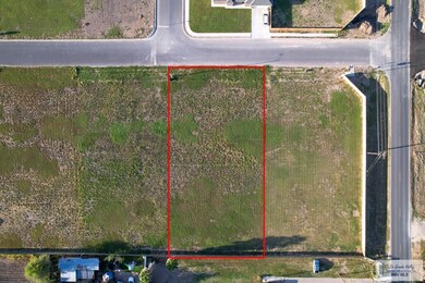 905 Daniel Ln, Weslaco, TX 78599 - photo 2