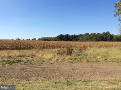 L7.04 Eldridges Hill Rd, Woodstown, NJ - photo 2