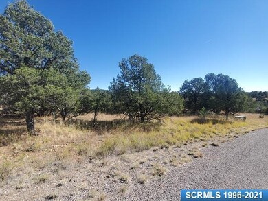 17 Vesuvius Way unit Lot 116, Silver City, NM 88061 - photo 4