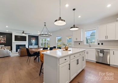 11016 Larkslea Ln, Charlotte, NC 28278 - photo 6