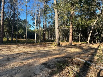 0 Cypress Pond Rd, Mandeville, LA 70448 - photo 3
