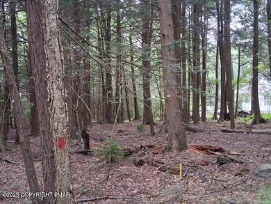 18 Robyn Ln, Pocono Lake, PA 18347 - photo 6