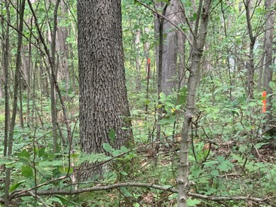 photo2