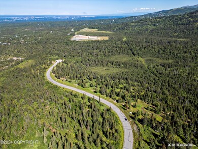 L3 B5 Mountain Air Dr, Anchorage, AK 99516 - photo 4