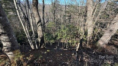 0 Bird Dog Blvd unit CAR4211590, Lake Lure, NC 28746 - photo 6