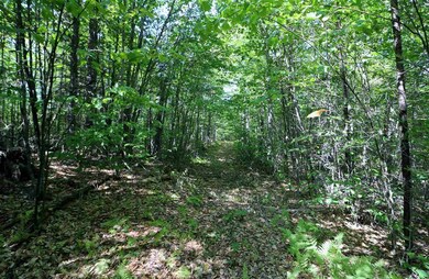 1100 U S 2, Randolph, NH 03593 - photo 3