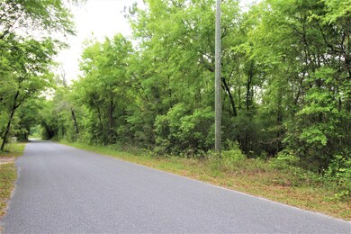 Lot 2 Three Sisters Rd, Crawfordville, FL 32327 - photo 2