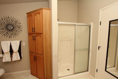 Master Bathroom Shower