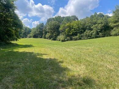 0 County Road 494, Bryant, AL 35958 - photo 4