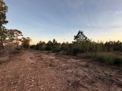 TBD State Highway 71, Bastrop, TX 78602 - photo 6