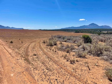 Tract 1 Road K 3, Cortez, CO 81321 - photo 3