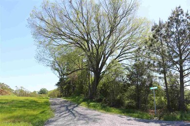 1590 Hillside Dairy Rd, Pittsboro, NC 27312 - photo 6
