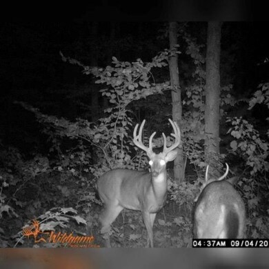 1815 12 Mile Rd, Bitely, MI 49309 - photo 3