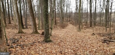 0 LOT 209 Woodcrest Dr, Gainesboro, VA 22603 - photo 6