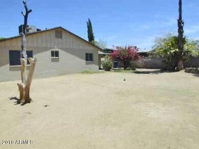 ellis backyard