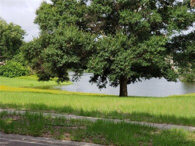 1279 Golden Oak Dr, Tarpon Springs, FL 34689 - photo 2