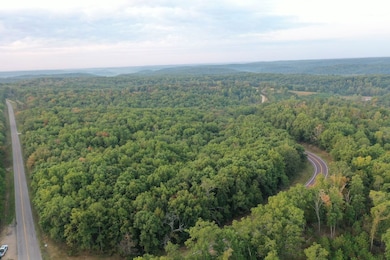 Tbd Tract 3 Highway 34, Silva, MO 63964 - photo 6