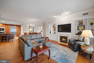 The Ritz-Carlton Residences unit 152, Baltimore, MD 21230 - photo 6