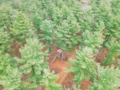 W2052 Spring Creek Rd, Durand, WI 54736 - photo 2