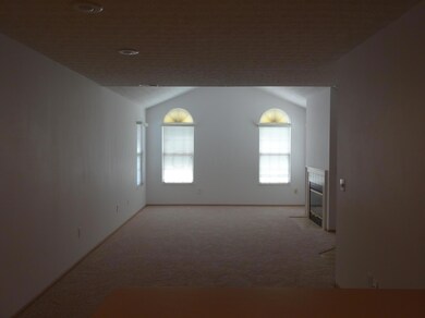 Living area Cathedral Ceil & Fireplace