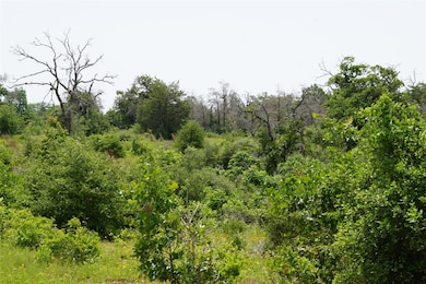 View of local wilderness