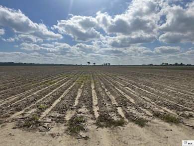 000 Seal Loop Rd, Holly Ridge, LA 71269 - photo 3