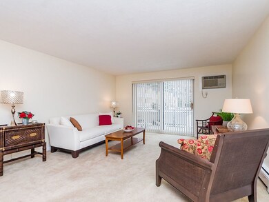 48 Bigelow Ave unit 17, Watertown, MA 02472 - photo 2