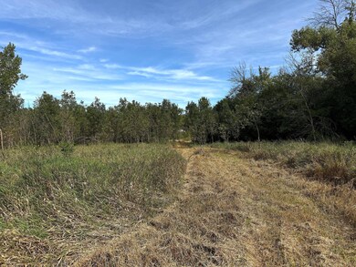 4118 29th St SE, Rochester, MN 55904 - photo 4