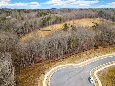 Bird's eye view of a heavily wooded area