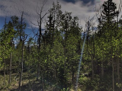 452 Kodiak Rd, Como, CO 80432 - photo 6