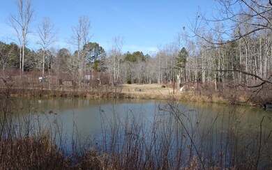 Additional View