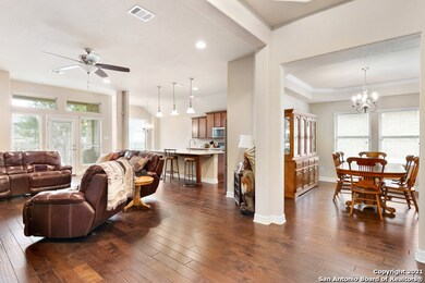 17946 Bierstadt Mount, Helotes, TX 78023 - photo 2