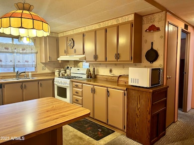 2605 S Tomahawk Rd unit 281, Apache Junction, AZ 85119 - photo 6